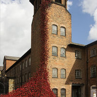 POPPIES AT DERBY SILK MILL by Gill Dishart