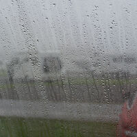 PROPER CARAVAN WEATHER by Derrick Tuplin