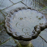 RAINDROPS IN THE BATH by Malcolm Neil