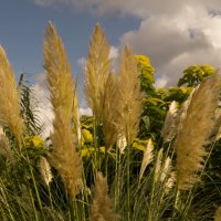 REACH FOR THE SKY by Derrick Tuplin
