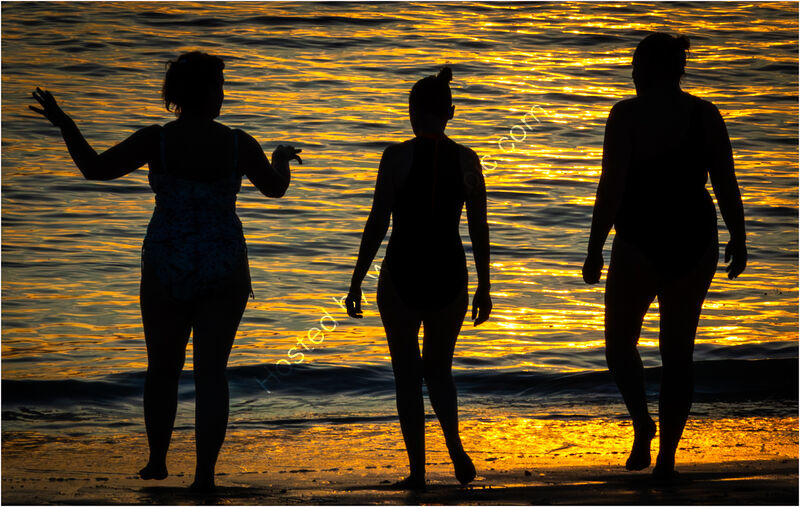 READY FOR A SUNSET SWIM by David Harrison