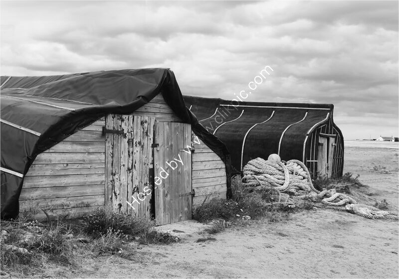 RECYCLING by Sue Swain