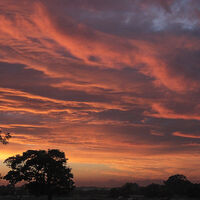 RED SKY AT NIGHT by Malcolm Neal