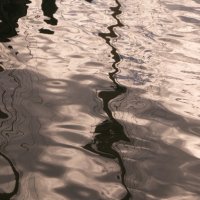 REFLECTIONS by Derrick Tuplin
