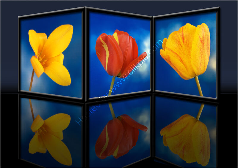 REFLECTION by Malcolm Sargent