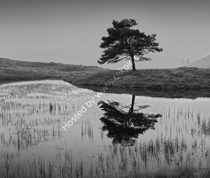 REFLECTION by Malcolm Sargent