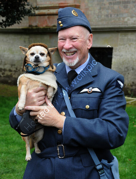 RELUCTANT REENACTOR by Ralph Willis