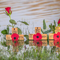 REMEMBRANCE by Neil Partridge