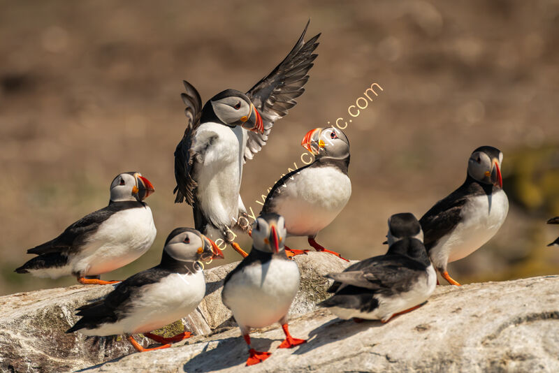 "RIGHT BOYS AND GIRLS, LISTEN UP" by Richard Bower