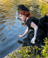 RIPPLES NEVER COME BACK by Chris Nightingale