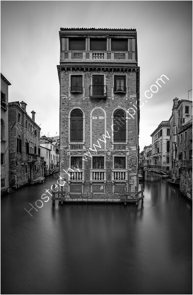 RISING DAMP by Mark Constable