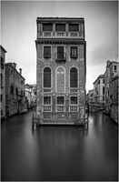 RISING DAMP by Mark Constable