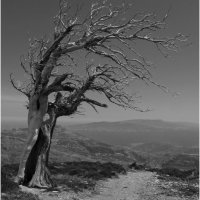 ROAD TO THE SEA by Mick Smith