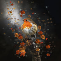 ROBIN GOODFELLOW by Michelle Jackson