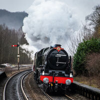 ROYAL SCOT by Chris Hall