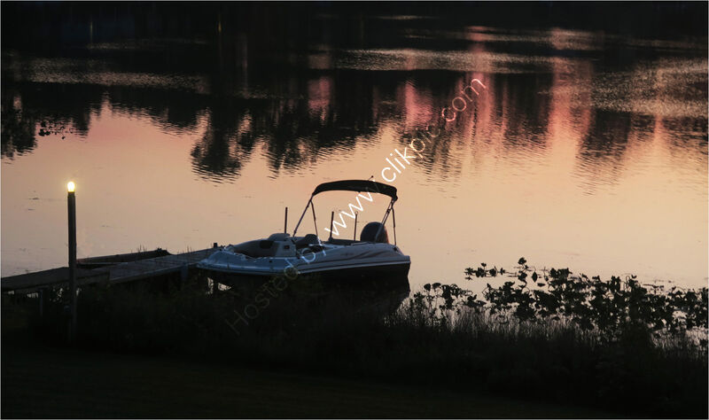 SAFELY MOORED by Susan Swain