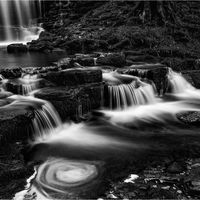 SCALEBER FORCE, DIVIDED by Mark Constable
