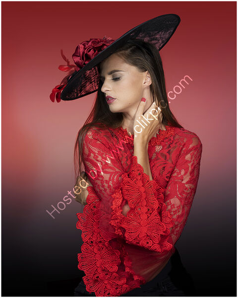 SCARLET AND BLACK by Pamela Glenn