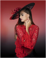 SCARLET AND BLACK by Pamela Glenn