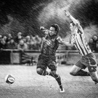 SCRAPPING IN THE RAIN by David White