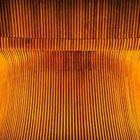 SENEDD CEILING, CARDIFF by Tony Barker