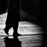 SHADOWS AND SILVER HAIR by Tony Barker