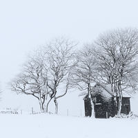 SHEPHERD'S SHACK IN WINTER SNOW by Michael Mears