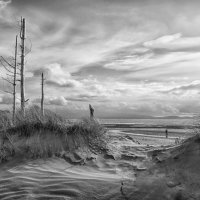 SHIFTING SANDS by Christine Maughan