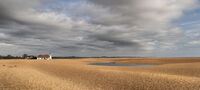 SHINGLE STREET by Christine Maughan