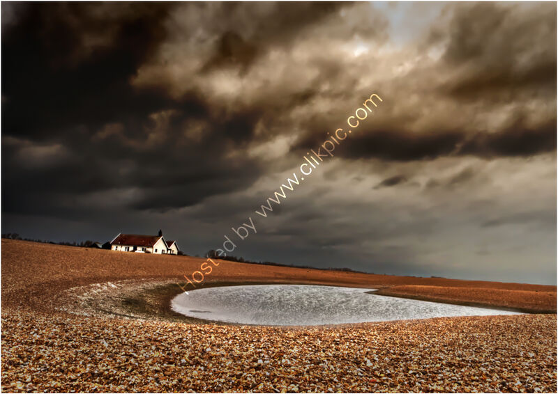 SHINGLE STREET by Phil Robinson