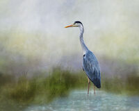 SILENCE by Michelle Jackson