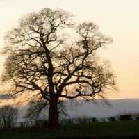 SILHOUETTE AT SUNSET by Keith Bunyan
