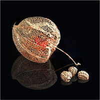 SKELETONS OF CHINESE LANTERN AND NASTURTIUM SEEDS