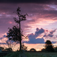 SKY FIRE by Brenda Howard