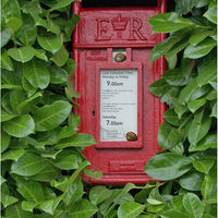 SNAIL MAIL by Garnett Parks