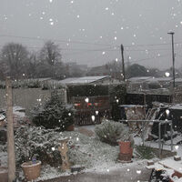 SNOW FALL by Jack Boyd