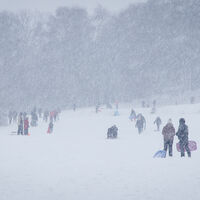 SNOW FUN IN ALLESTREE PARK by Chris Hall