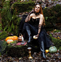 SORCERESS by David Salt