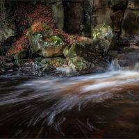SPARKLING WATER by Mike Arblaster