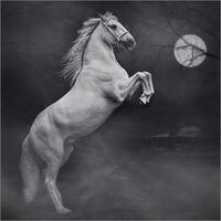 SPOOKED IN THE MOONLIGHT by Chris Greaves