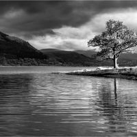 SPOTLIGHT ON BASSENTHWAITE LAKE by Mark Constable