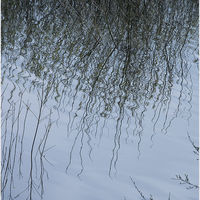 SPRING RIPPLES by Gill Dishart