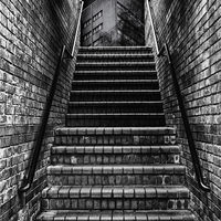STAIRWAY TO DYSTOPIA by David White