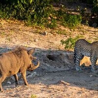 STAND-OFF by Ray Worthy
