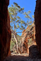 STANLEY CHASM, AUSTRALIA by Ian Humphries