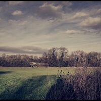 SUMMER DAYS by Alan Locke