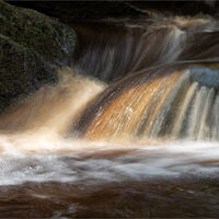 SUNLIT BROOK by Sarah Middleton