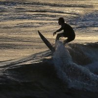 SURFING SILHOUETTE by Stanley J Annable