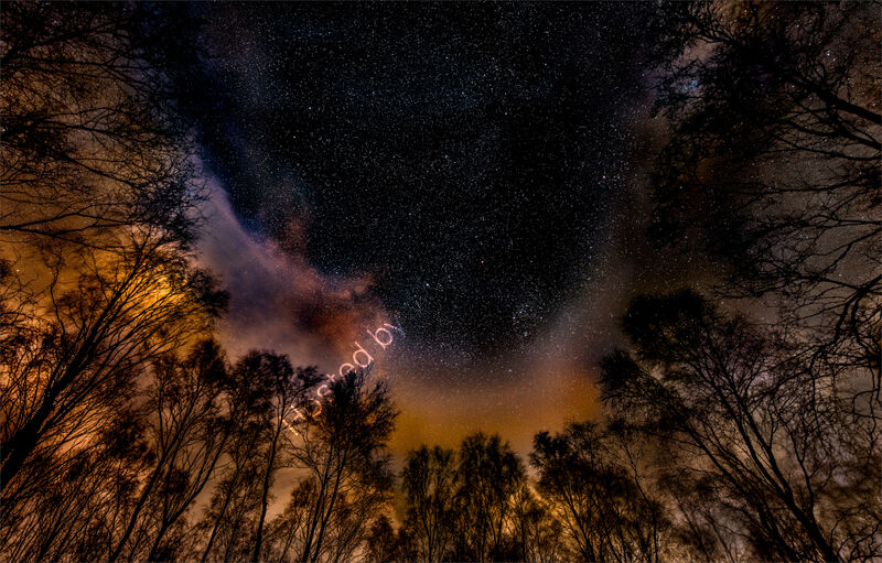 SURPRISE VIEW by Dave Boardman