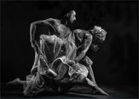 SUSPENDED DANCE by Neil Partridge